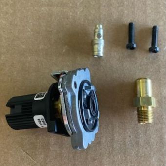 Napoleon Conversion kit used with BL46 Electronic Ignition