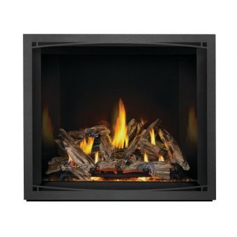 Gas Burning Fireplace | Elevation EX42N